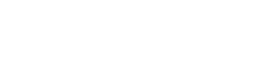 White Logo - Nimble Minds, Insights That Empower